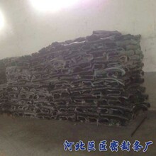 告别计算机独大！微电子专业登顶2026届榜首