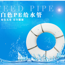 一脚把球踢上天！周星驰《功夫女足》首支预告片发布：迪丽热巴、张小斐主演