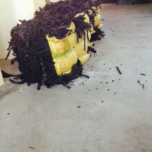 49元让老家电变智能！小米智能插座4发布：升级Wi