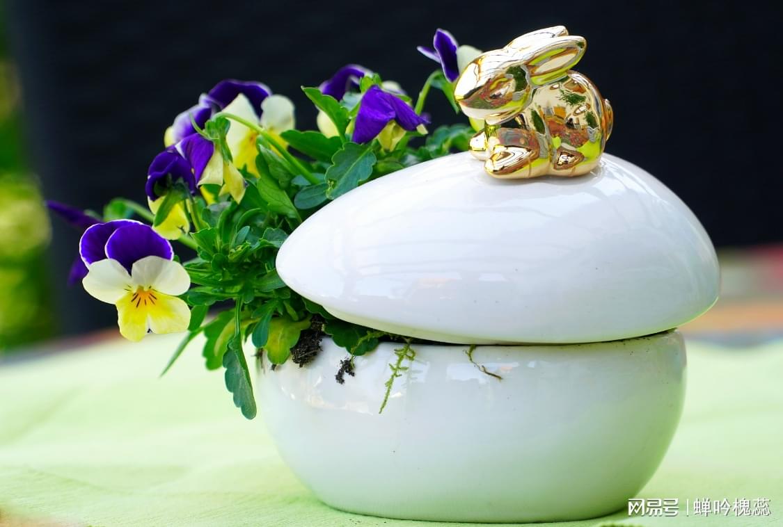 预计售价超200万！仰望行政级轿车谍照流出：对开门设计、车长超5米
